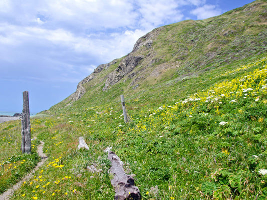 5 Amazing California Parks to Visit This Summer