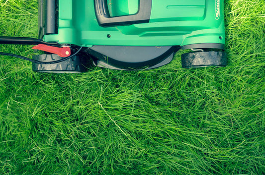 A Quick Guide To Summer Lawn Care