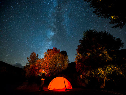 Can't-Miss Camping Around the Bay Area