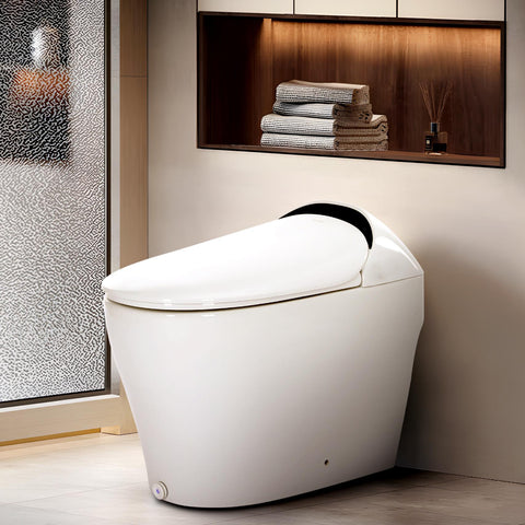 TSUNAMI FLUSH One Piece Smart Bidet Toilet With Unique Health Care Wash Mode