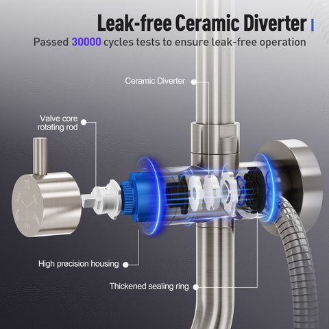 Brushed Nickel Multi-Function Rain Shower Head with Handheld Spray and Adjustable Height