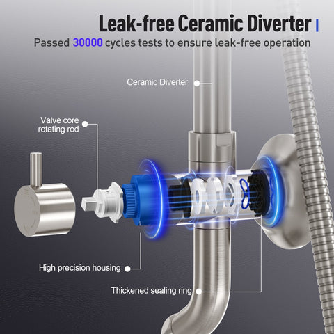 Brushed Nickel Multi-Function Rain Shower Head with Handheld Spray and Adjustable Height