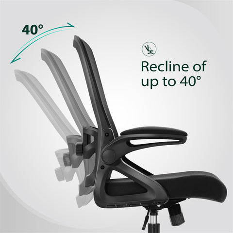 Ergonomic Mesh Office Chair with Adjustable Lumbar Support & Flip-Up Armrests for Home Office & Back-to-School