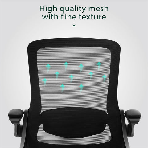 Ergonomic Mesh Office Chair with Adjustable Lumbar Support & Flip-Up Armrests for Home Office & Back-to-School