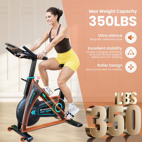 Exercise Bike with Low Noise, Heart Rate Handle and LCD Monitor