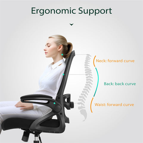 Ergonomic Mesh Office Chair with Adjustable Lumbar Support & Flip-Up Armrests for Home Office & Back-to-School
