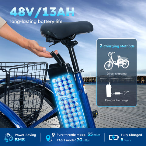 RegalRider 24" Electric Tricycle - 7-Speed 330lbs Cargo Trike with Removable Battery & Large Cargo Basket for Family Adventures, Senior Mobility & Pet Lovers