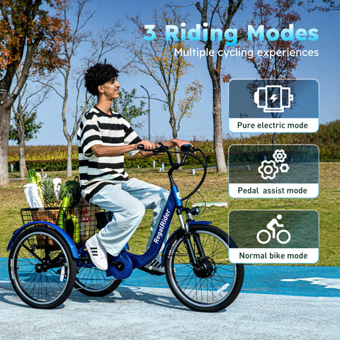 RegalRider 24" Electric Tricycle - 7-Speed 330lbs Cargo Trike with Removable Battery & Large Cargo Basket for Family Adventures, Senior Mobility & Pet Lovers