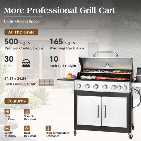 6-Burner Outdoor Propane Grill with Extra Side Burner