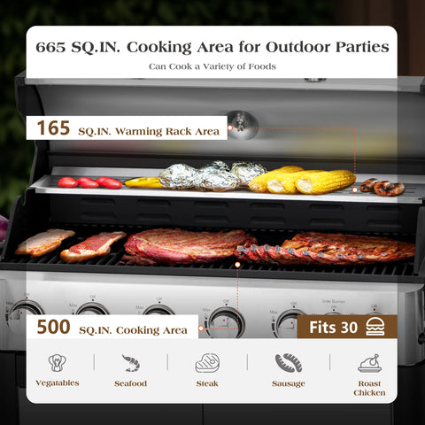6-Burner Outdoor Propane Grill with Extra Side Burner