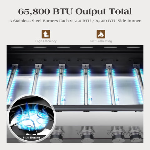 6-Burner Outdoor Propane Grill with Extra Side Burner