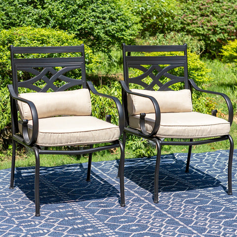 2-Piece Cast Iron Pattern Patio Fixed Dining Chairs with Thick Cushions