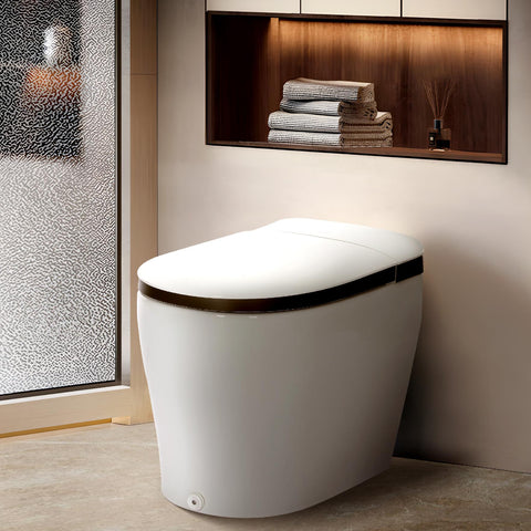 TSUNAMI FLUSH One Piece Smart Bidet Toilet With Unique Health Care Wash Mode