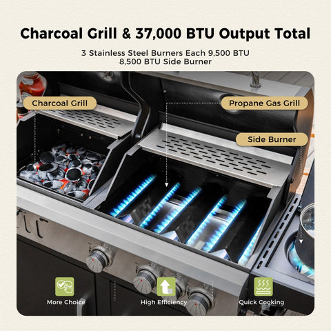 Outdoor Propane Grill & Charcoal Grill Combo