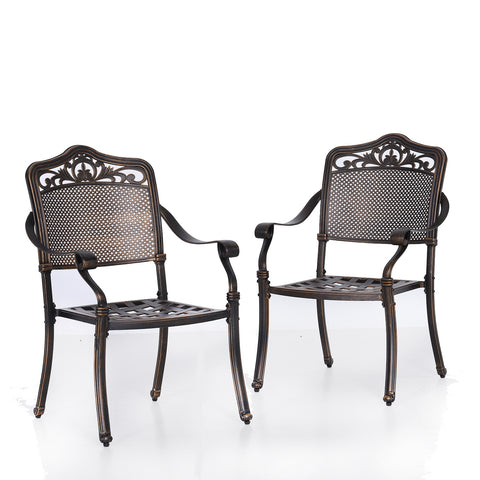 Cast Aluminum Pattern Patio Dining Chairs, Set of 2